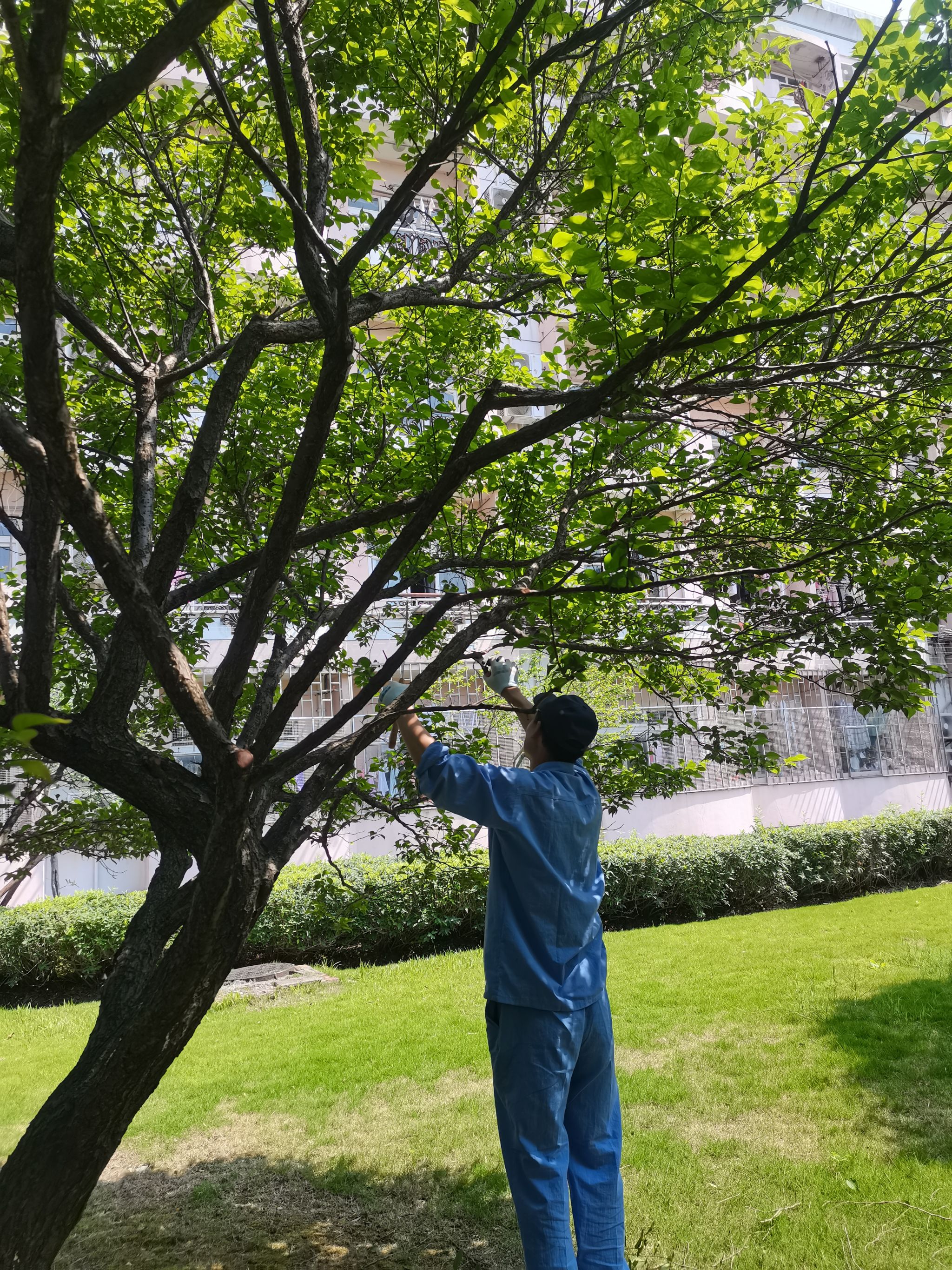 e716a659dce3dbf3e11dfe9b4da2cd9.jpg e716a659dce3dbf3e11dfe9b4da2cd9.jpg